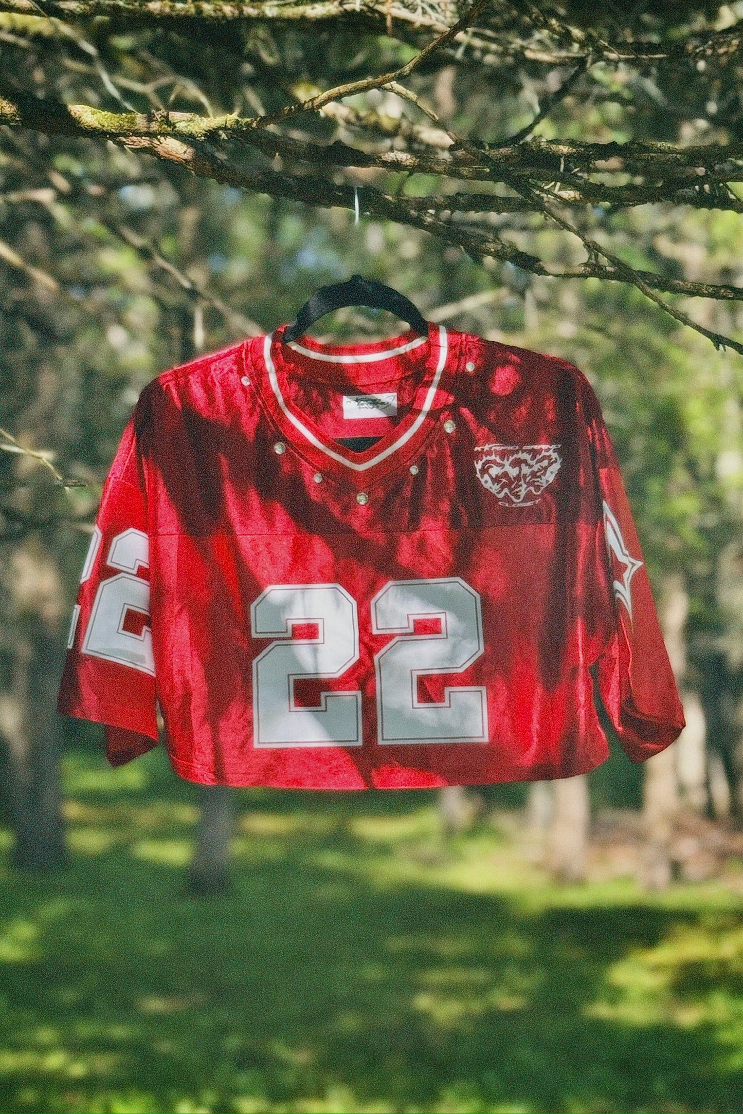 Red Crop Rhinestone T-Shirt