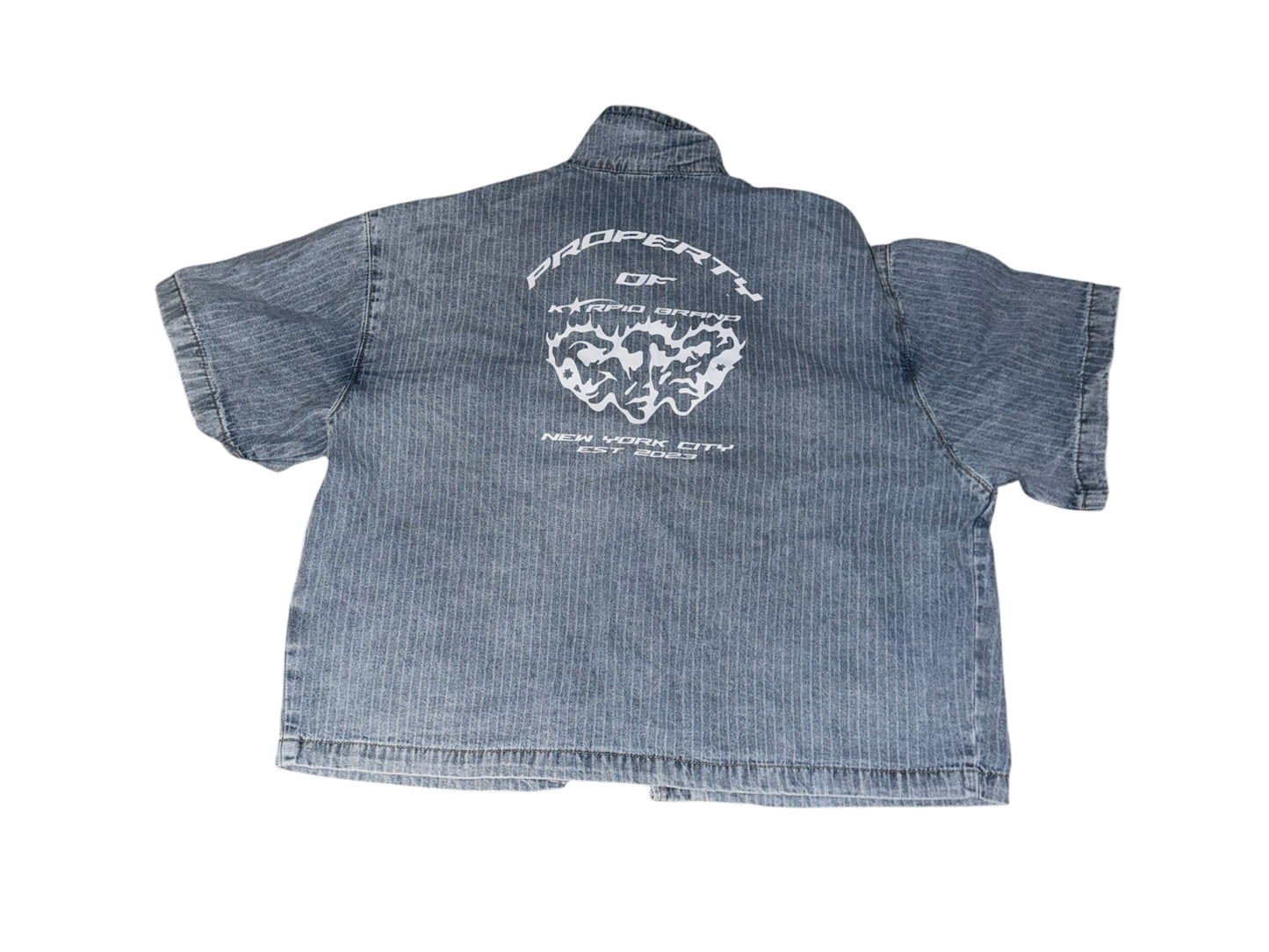 Blue Denim Shirt